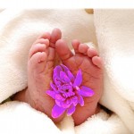 babyfeet_flower_rosa